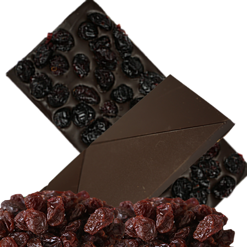 Chocolate Large Bar with Cranberries